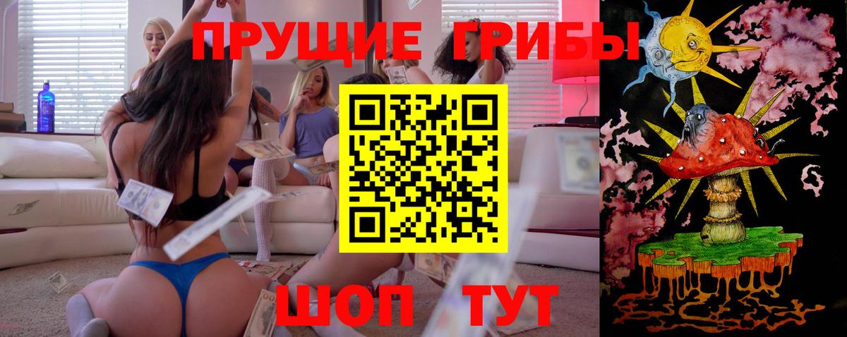 Псилоцибиновые грибы Psilocybe Элиста