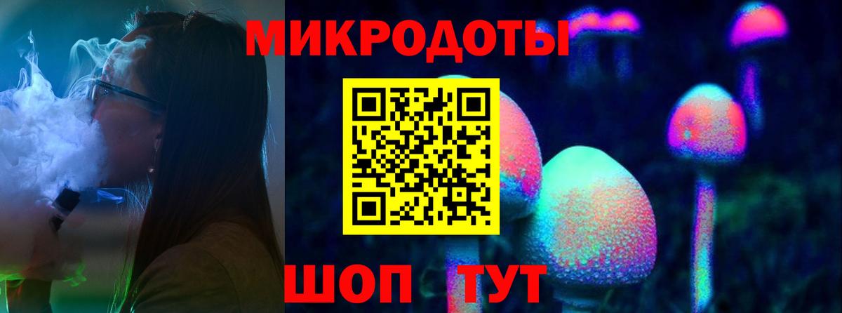 Элиста  Псилоцибиновые грибы мухоморы  продажа наркотиков  Вход с VPN 